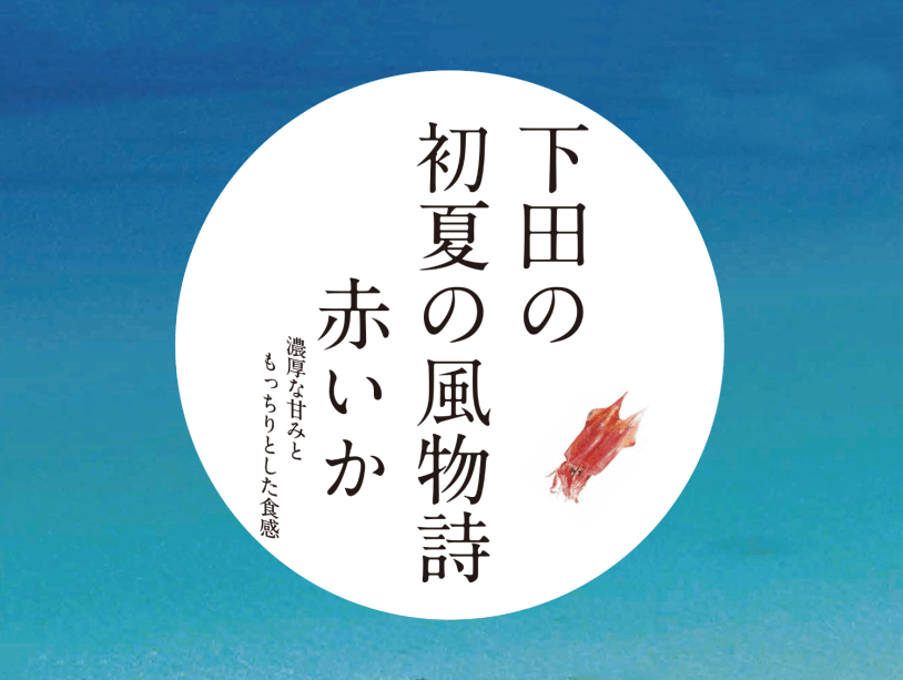 下田の初夏の風物詩！【赤いか】キャンペーン プラン