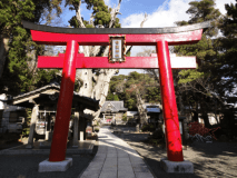 ■公式ＨＰがベストレート！【訳あり客室＊お布団敷セルフ】年末年始・お正月はホテル伊豆急で★夕食バイキングプラン