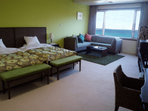 ＤＸツイン（一例）