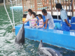 下田海中水族館　入場券付プラン