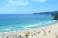 夏休みの多々戸浜