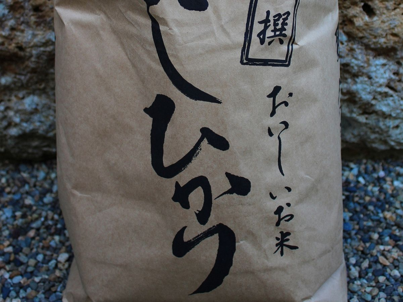 那須塩原産こしひかり
