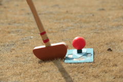 ■65歳以上限定■シニアのご旅行応援♪４特典付きプラン～人気沸騰のグラウンドゴルフ60分無料サービス～