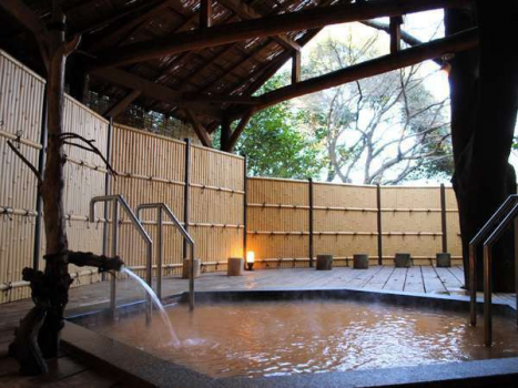 大きな榎の木を眺める「ひぐらしの湯」