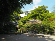 【ご贔屓様限定※DM（はがき）が届いた方限定※】初夏の特別会席＜夕朝食はお食事処＞※ご予約は5日前まで