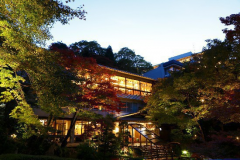 自生する楓に囲まれた玄関(夏) 自生する楓に囲まれた玄関(夏)