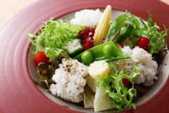 【夏季限定】活鱧尽くし会席｜鱧しゃぶ・鱧落とし・鱧天ぷら・鱧手毬寿し・鱧雑炊