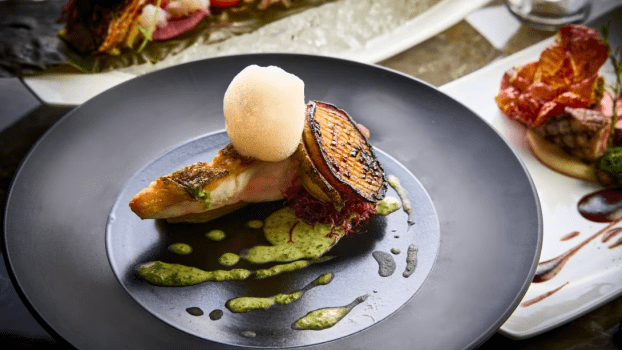 【日帰り夕食】[プレミアム] 熊野牛サーロインと蝦夷あわびを含む最高級コース