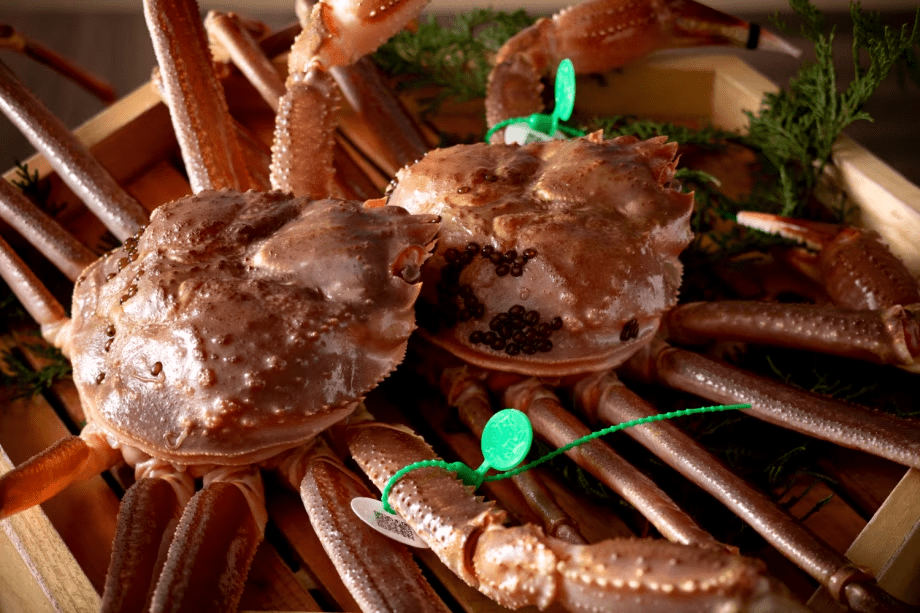 【冬・間人ガニ】この時期にしか味わえない、冬の味覚の王様・間人ガニを堪能。