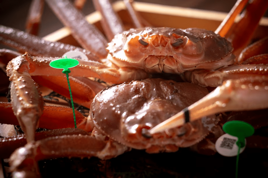 【冬・間人ガニ】この時期にしか味わえない、冬の味覚の王様・間人ガニを堪能。