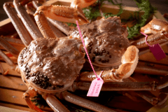 【冬・松葉ガニ】この時期にしか味わえない、冬の味覚の王様・松葉ガニを堪能。