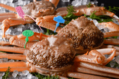 11月6日に解禁される松葉ガニ漁。今ここでしか味わえない至福の時と味を！