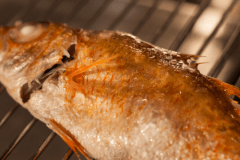 脂ののった『のど黒の塩焼き』は大人気！