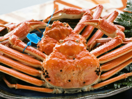 【タグ付きブランド蟹】お得に楽しむ"冬の味覚の王様"