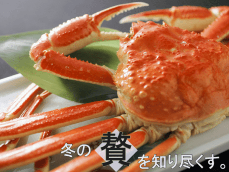 800ｇの“ホックホック”茹で蟹♪「かに刺し」～「蟹好き」まで♪余すことなく≪冬の贅≫を堪能♪