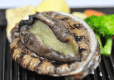 ◆夕日ヶ浦会席◆【お料理グレードアップ＆個室食プラン】【個室食】