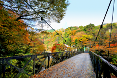 【吊り橋 秋】早川の渓谷に架かる吊橋奥、竹林の中に佇む閑静な一軒宿 【吊り橋 秋】早川の渓谷に架かる吊橋奥、竹林の中に佇む閑静な一軒宿