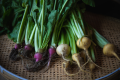 1 night with 2 meals 【Local cuisine plan】
