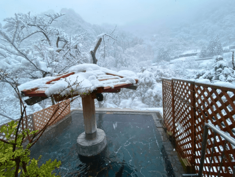 【期間限定：鰤しゃぶ会席】脂が乗った大きな富山湾のブリ！～良質で美味しい冬の味覚をしゃぶしゃぶで～