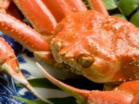 【冬季限定：富山づくし会席】名物を味わい尽くす！～一度の食事でたくさんの「富山」を～