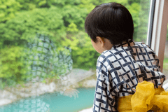 和モダン和室からの景色