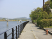 旅館の前の川沿いはお散歩コース♪