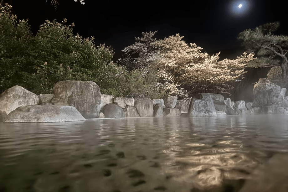 【夜桜露天風呂】この時期だけの一瞬の輝きをライトアップで演出♪和の心を楽しめる桜と温泉の空間を存分にお楽しみ下さい。