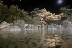 【夜桜露天風呂】この時期だけの一瞬の輝きをライトアップで演出♪和の心を楽しめる桜と温泉の空間を存分にお楽しみ下さい。