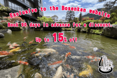 Website-exclusive plan: Book 90 days in advance and get up to 15% off.