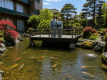Overseas guests can also experience Japan.
Yukata, Japanese gardens, Japanese cuisine, anime