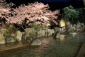 夜桜の露天風呂
日没から23：00までライトアップで夜桜を楽しめます。