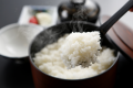 清流日本一になった馬瀬村の水で出来た馬瀬のこしひかり。絶品です。