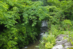 【キャンプサイト】5m×5m区画　AC電源(250W以内)完備