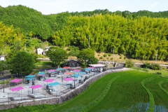 第二駐車場BBQ　≪場所貸し≫　11：00～14：00