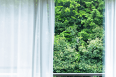 ツイン洋室　　【禁煙】