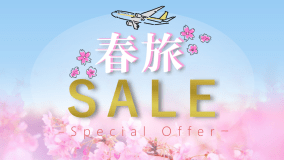 観光やグルメを満喫！博多の春を感じる特別な旅♪『素泊まり』☆お昼までゆっくり♪12時OUT！