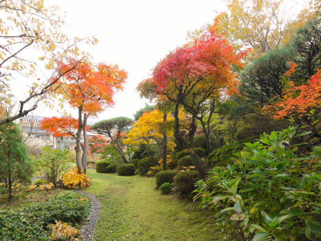 【日本庭園-水月園-】
［秋］ 例年10月後半から見頃を迎える秋。赤や黄、様々に色付きます