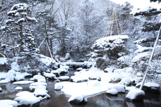 冬の水月園 池 冬の水月園 池