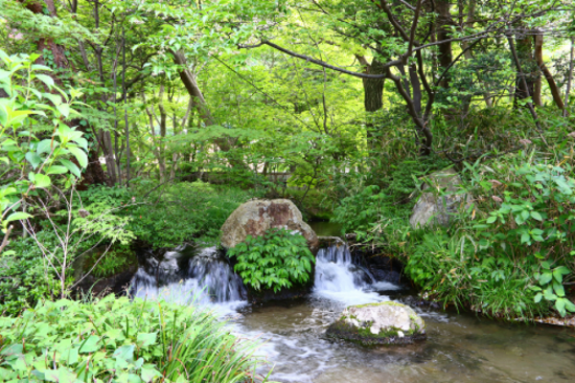 日本庭園「水月園」　川の流れ