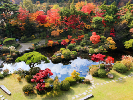 【日本庭園-水月園-】［秋］ 例年10月後半から見頃を迎える秋。赤や黄、様々に色付きます