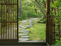 広大な敷地にひろがる日本庭園は、まさに幽玄の世界＿＿＿＿。