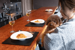 【モニター募集】愛犬と叶える美食旅｜天橋立「ほしうみ」夕食付・写真・動画提供で最大30％OFF