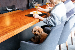 【1日1組限定】和と洋が織りなす贅沢なひととき ~夕食は天橋立「ほしうみ」で愛犬と楽しむ美食ステイ~■一人当たり料金■ 【1日1組限定】和と洋が織りなす贅沢なひととき ~夕食は天橋立「ほしうみ」で愛犬と楽しむ美食ステイ~■一人当たり料金■