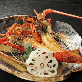【南伊豆特産！】伊勢海老をお造り・焼き　お好みの調理法で食す♪