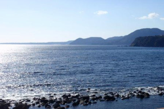 海