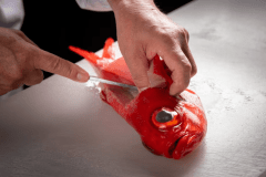 金目鯛