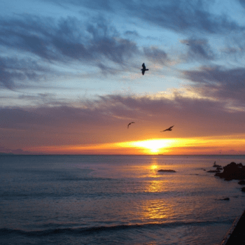 【お一人様限定】伊豆でのんびり一人旅！