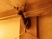【HOSTEL hanare】-鹿フック-館内のいたるところに鹿モチーフが・・・♪
