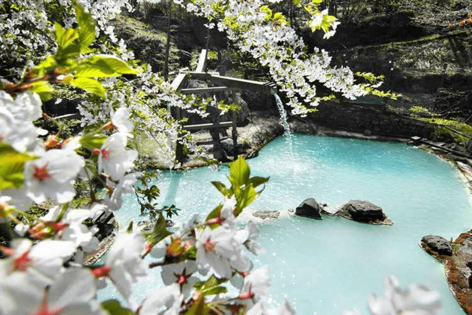 山桜を愛でながらの大野天風呂