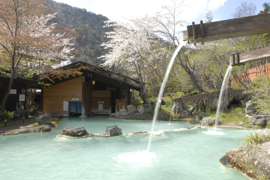 桜野天